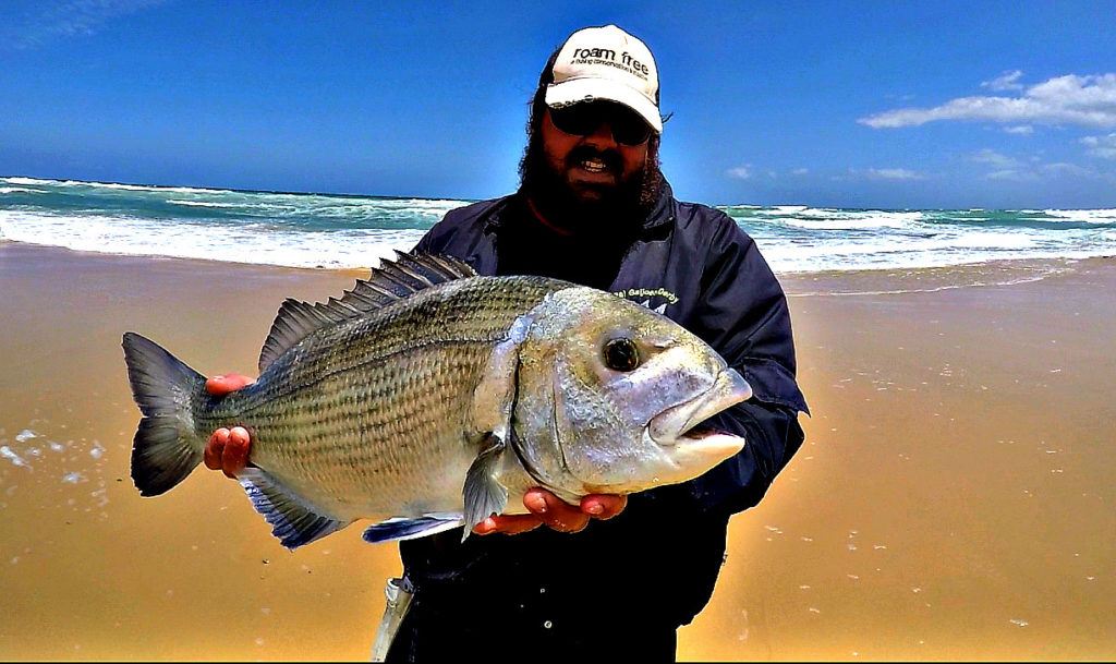 Got this one from the beach. Took a whole crab between the scattered reef. Gave a good fight on 30lb