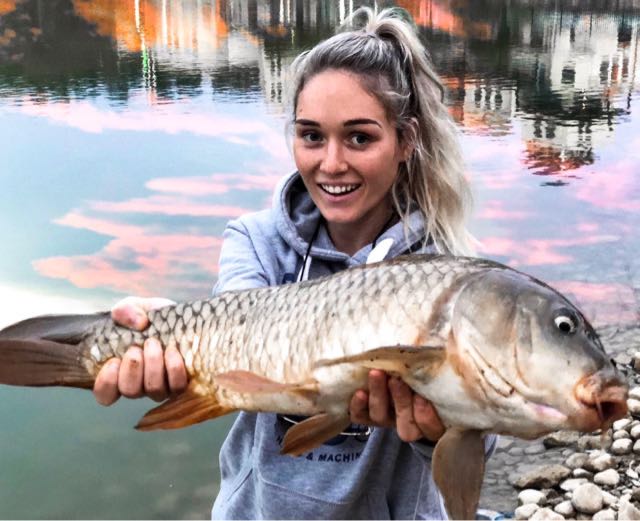 1591139741376.2742 A chunky munky carp I caught on a sunset mission. Safely released.
