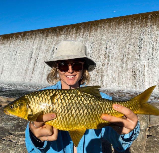 1591140385478.864 A gorgeous yellowfish to start my day. What a rad mission this was. Love the freshwater. This fish w