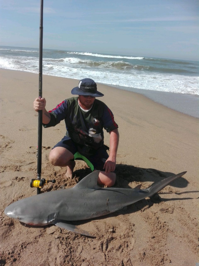 1591199517654 Zambezi Shark of 52kg