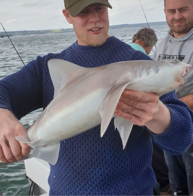 1594155198497.7 Uploaded via Fishbook