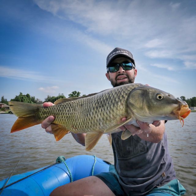 1595922896043.096 Carp on fly are very underrated.🍻💪🏼