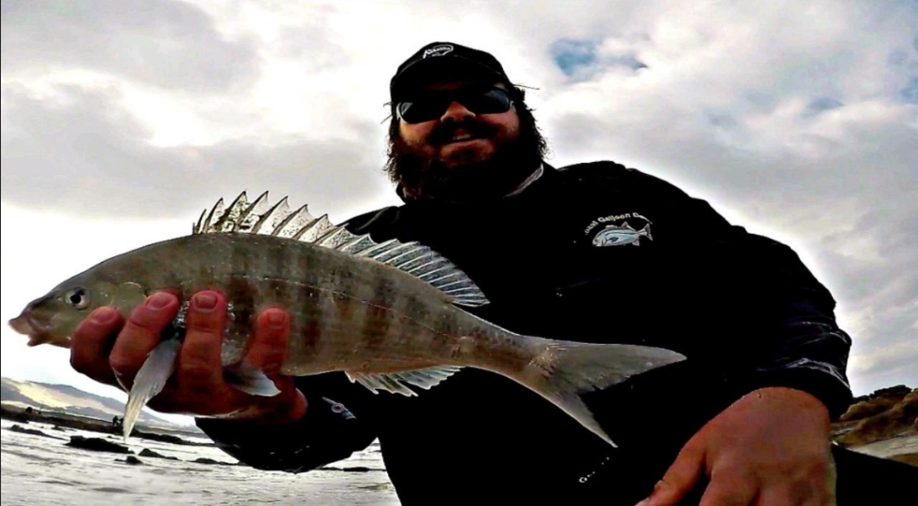 Small Steenie in cold flat water