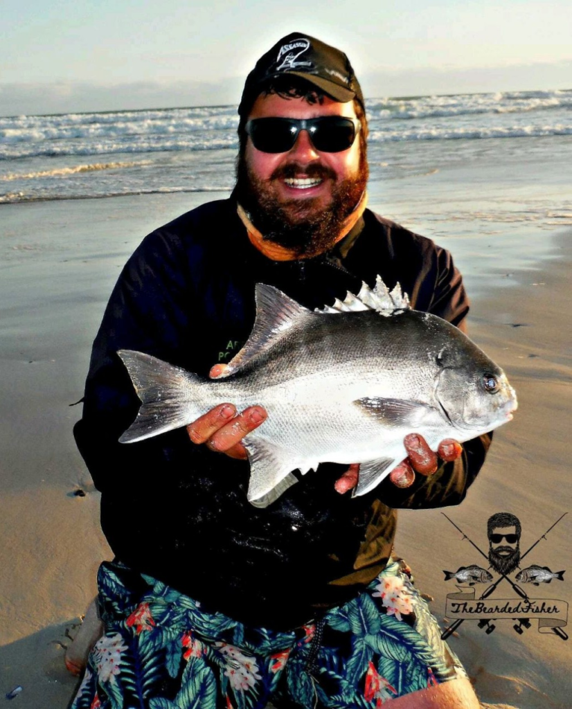Nice fat surf Galjoen