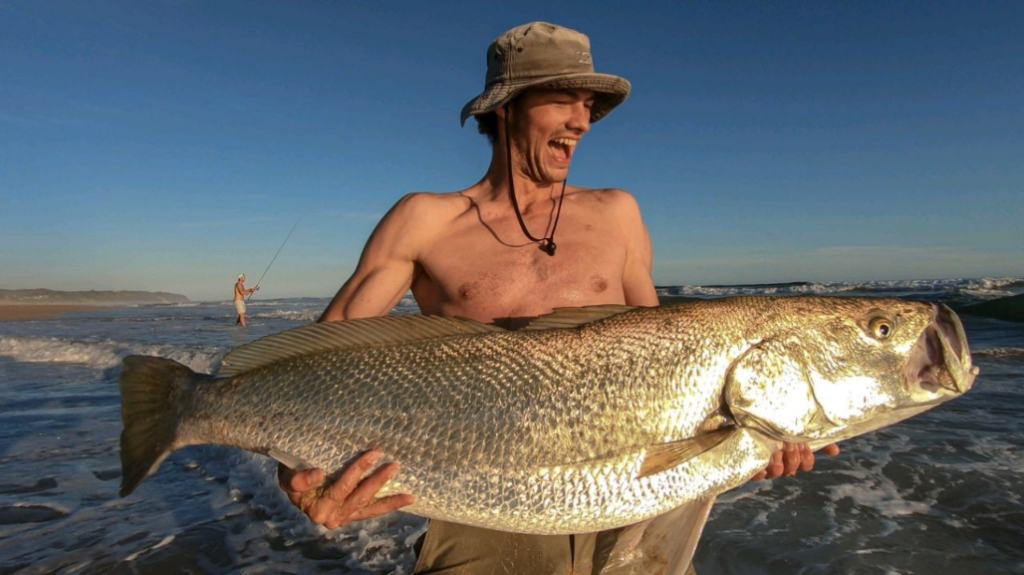 28kg Dusky Kob caught on lure. Safely released to fight another day