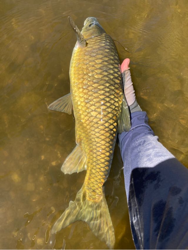 1601349907367.883 Uploaded via Fishbook