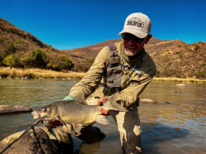 Natal Scaly, Tugela River