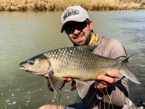 Tugela River Yellowfish