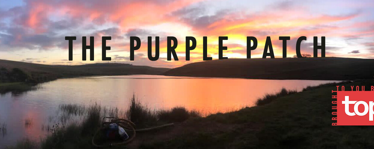 The Purple Patch