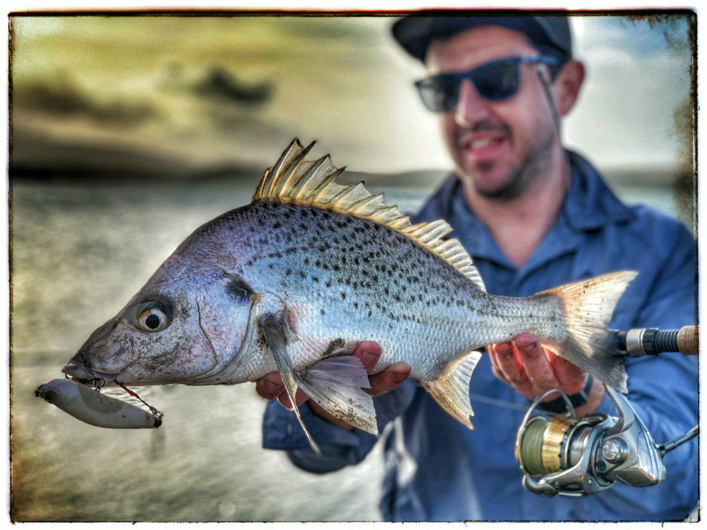 1607002448320 Zclaw doing its trick again. Got to love the colors on these fish