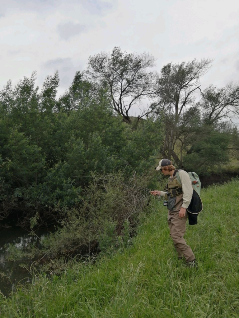 Uploaded via Fishbook