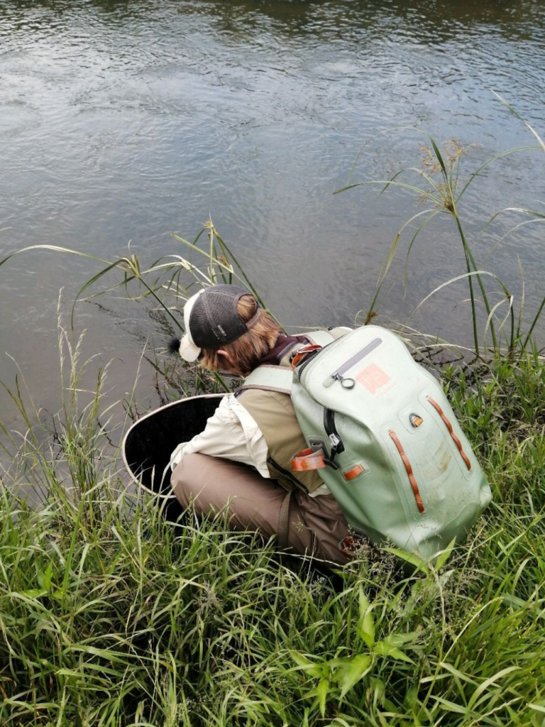 Uploaded via Fishbook
