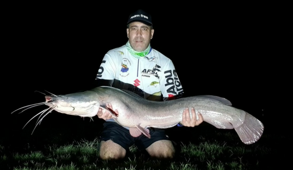 Bloemhofdam catfish caught on lure