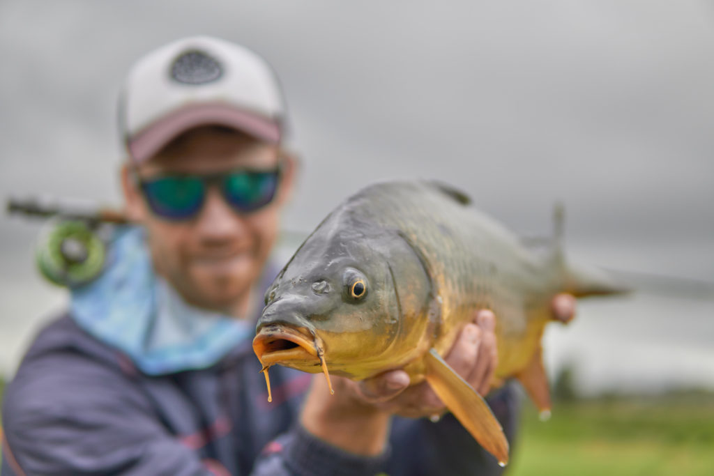 Grassy flats of Ixopo #carponfly Photos by @james_on_fly SNC05031SNC05070SNC04951