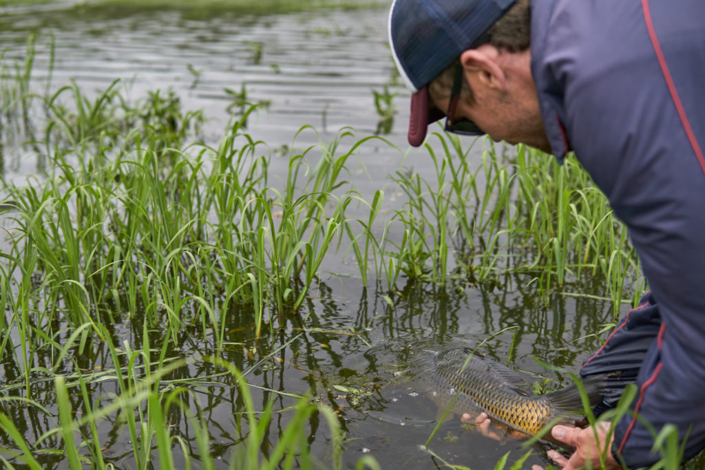 Grassy flats of Ixopo #carponfly Photos by @james_on_fly SNC05031SNC05070SNC04951