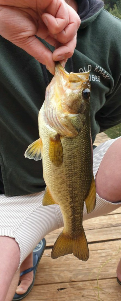 1610303848544 Caught on pumpkin seed worm
