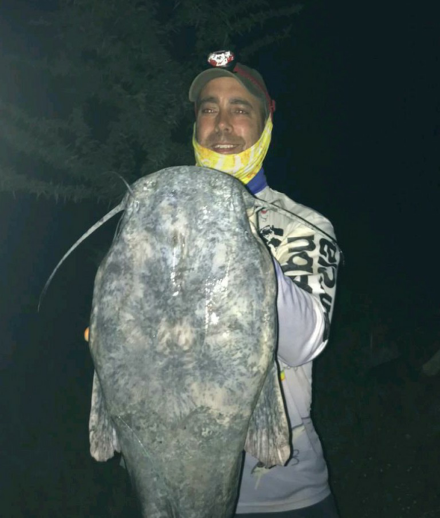 1610473857857 A big-headed Orange River catfish caught popping at night