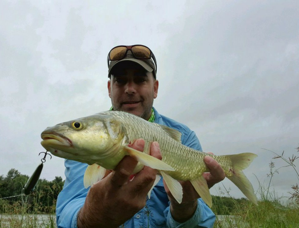 1610473988143 Orange River Largie on lure