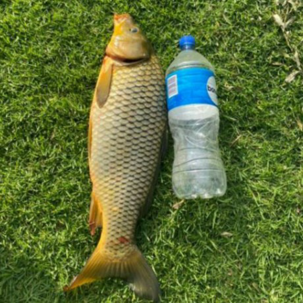 Same as last one I used 1,5liter bottle for measuring