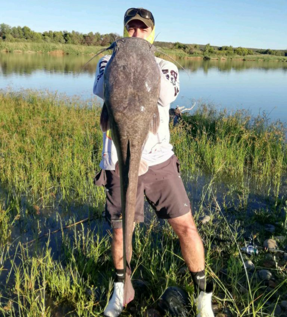 1615367870655 A strong-fighting Orange River cat that engulfed a Big Cat Popper and pumpkinseed lure as it hit the