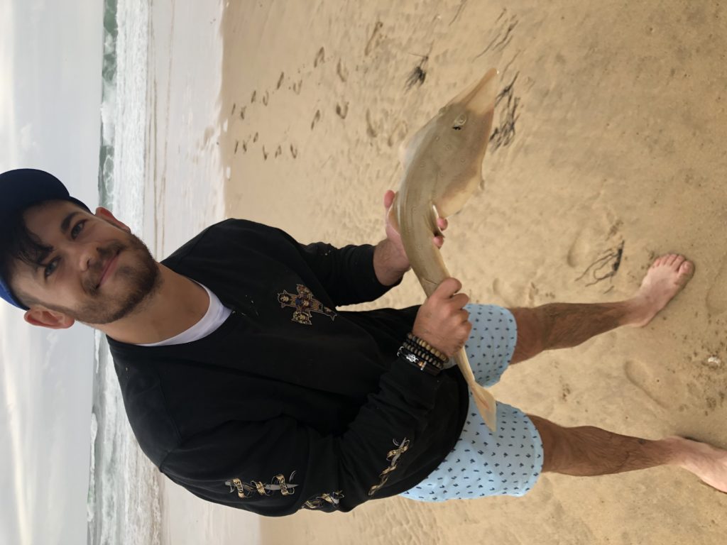 8BC8560E-EB81-41B7-879C-54461CBD7B92 Fun little sand shark 8BC8560E-EB81-41B7-879C-54461CBD7B92