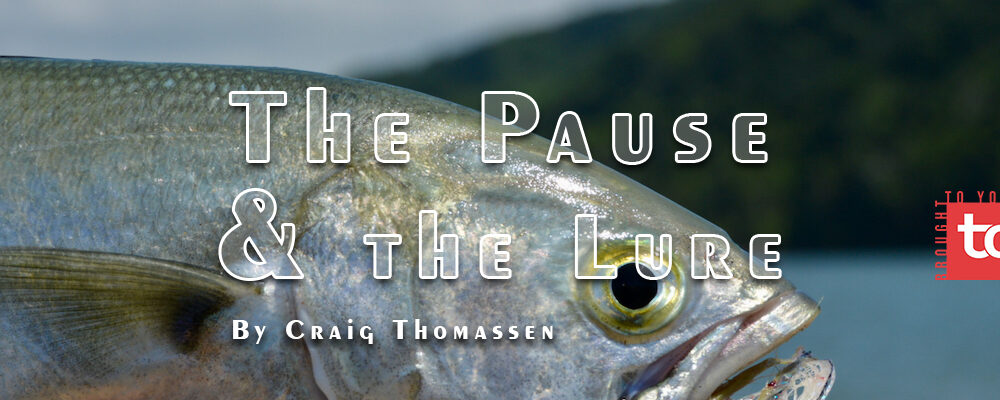 The Pause and the Lure