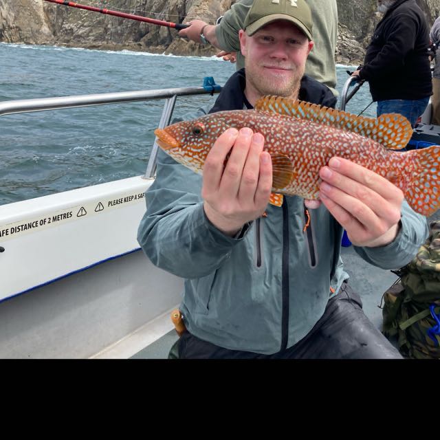 1621622020739.502 Wrasse on a lure