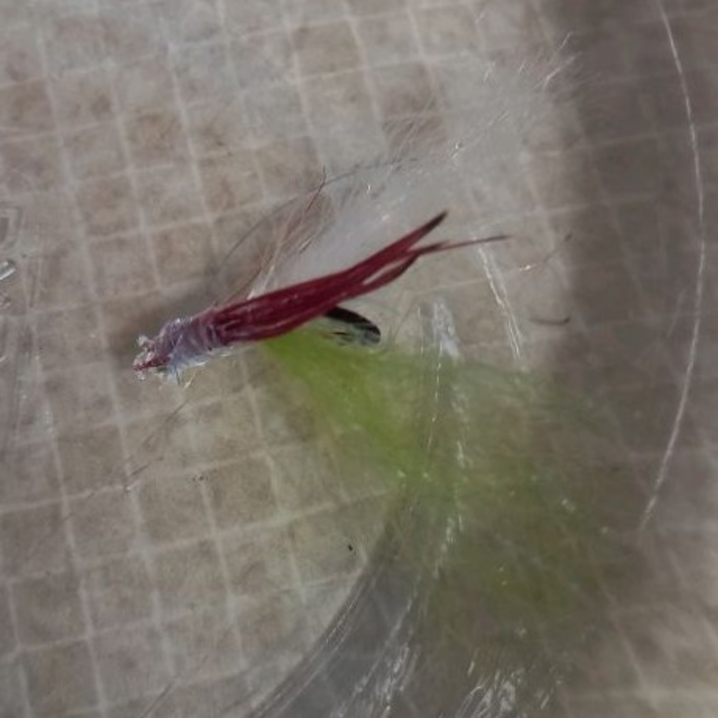 My latest fly i made.. shrimp cocktail