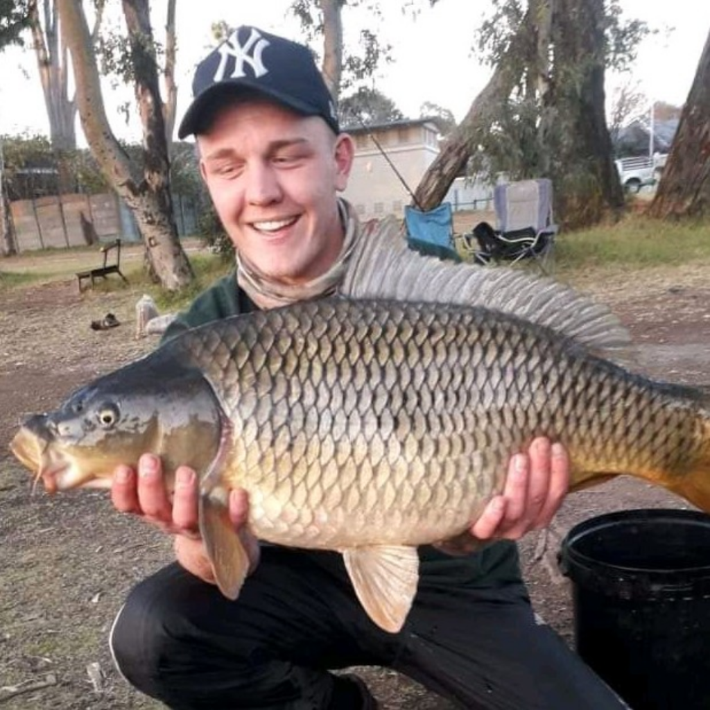 11KG Common Carp