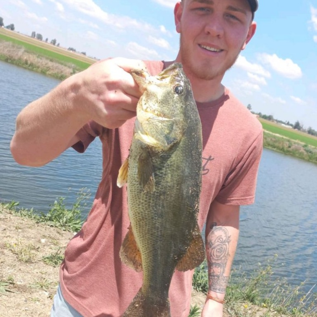1.4KG Bass