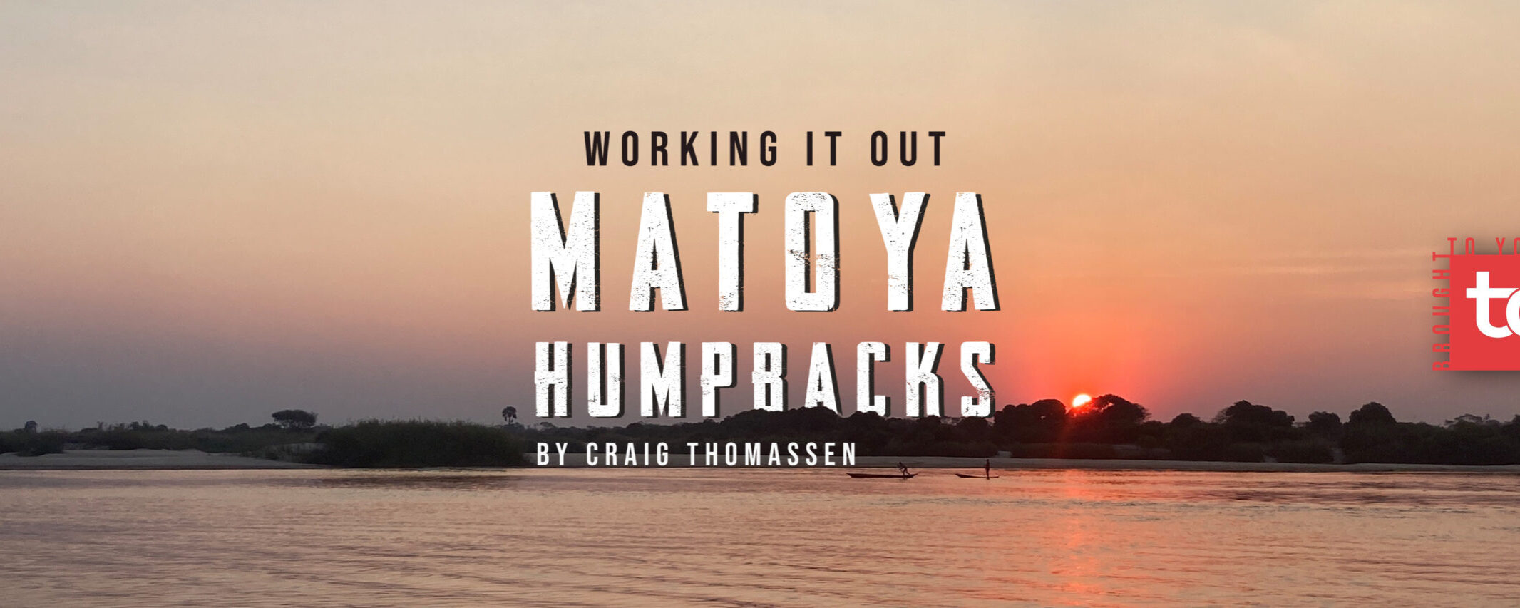 Matoya Humpback – Figuring it out
