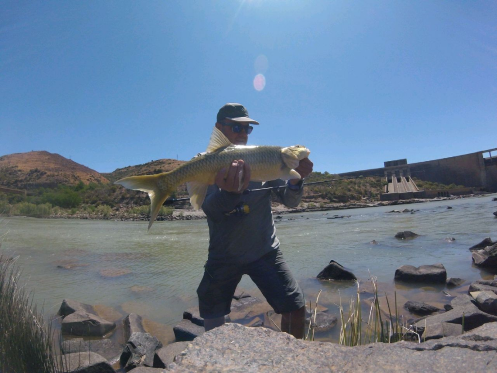 Uploaded via Fishbook