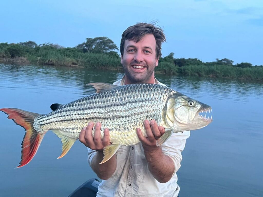 Well done Tim Brown on your 20lbs Tigerfish caught at croc alley. WhatsApp Image 2021-10-29 at 19.06