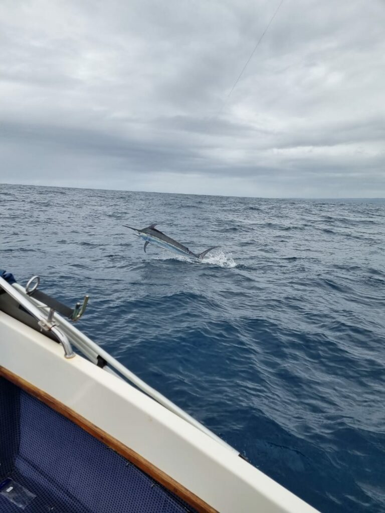 Bianca Edwards (17) Caught and release Marlin +/- 80kg — KZN South Coast off Ramsgate. Bianca 