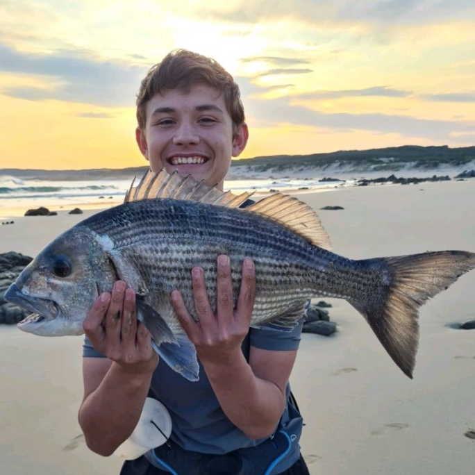 1654965285239 White musselcracker 55cm Safely released