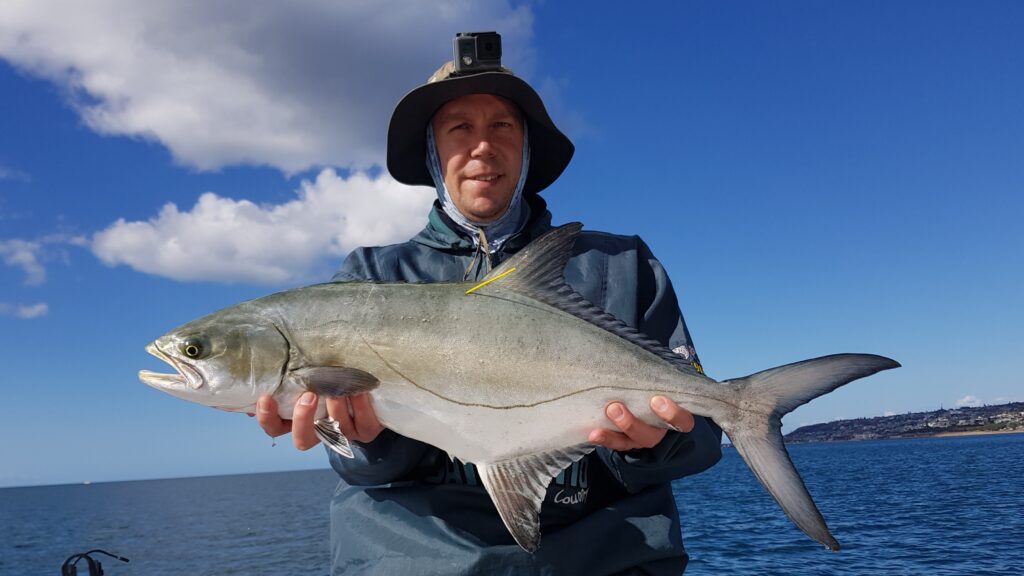 20220619_130416 Young leerie, 69cm FL, tagged & released 20220619_130416