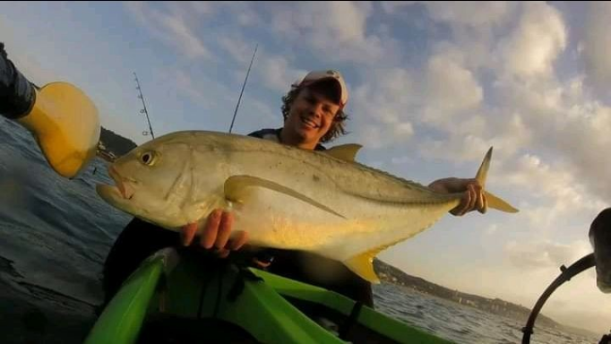 1656679019140 Blacktip kingfish 91cms released