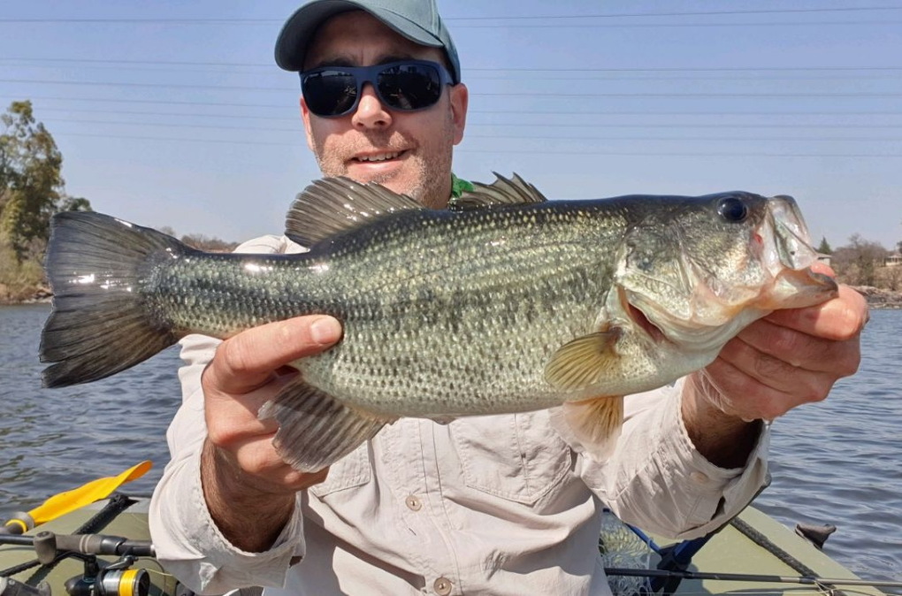 1662212921234 A Vaal River bass that ate a suspending jerkbait