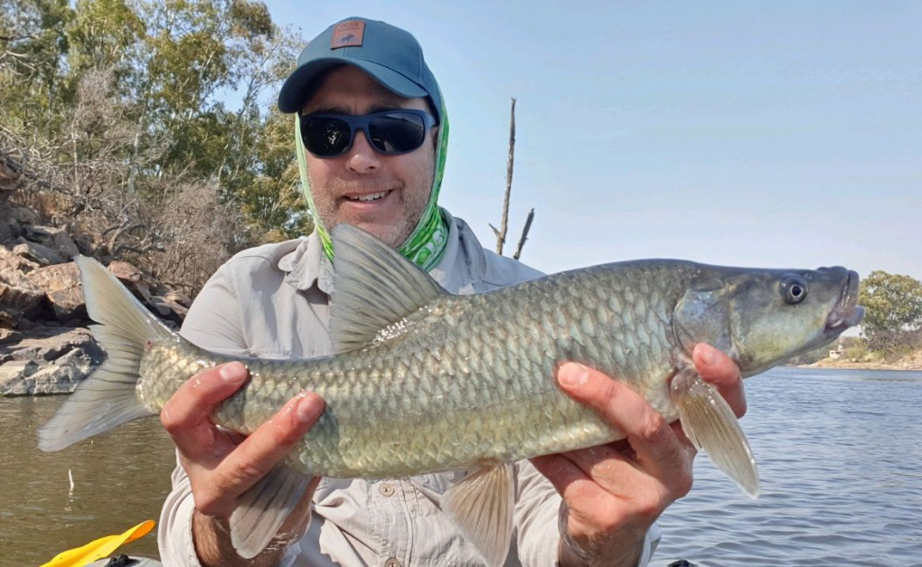 1662213059168 Largemouth yellowfish from Vaal River that I fooled on an Afrijigs Jatter