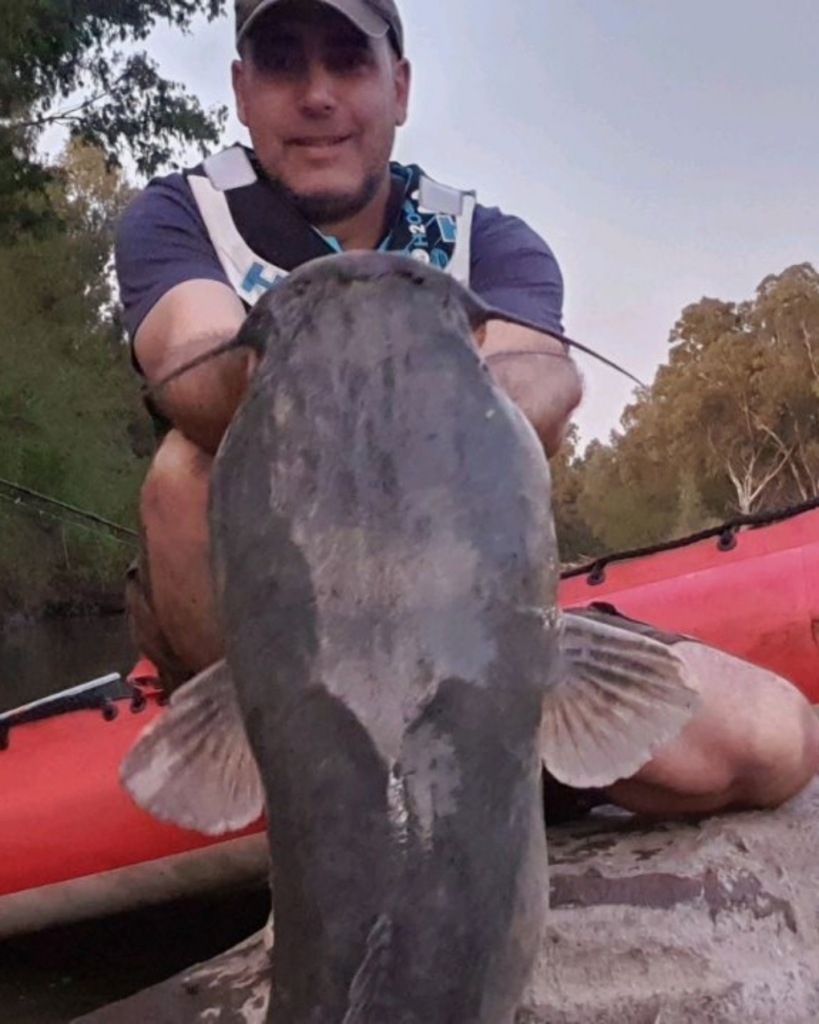 1663439610930 Mr Whiskers from the Vaal River caught on popping method
