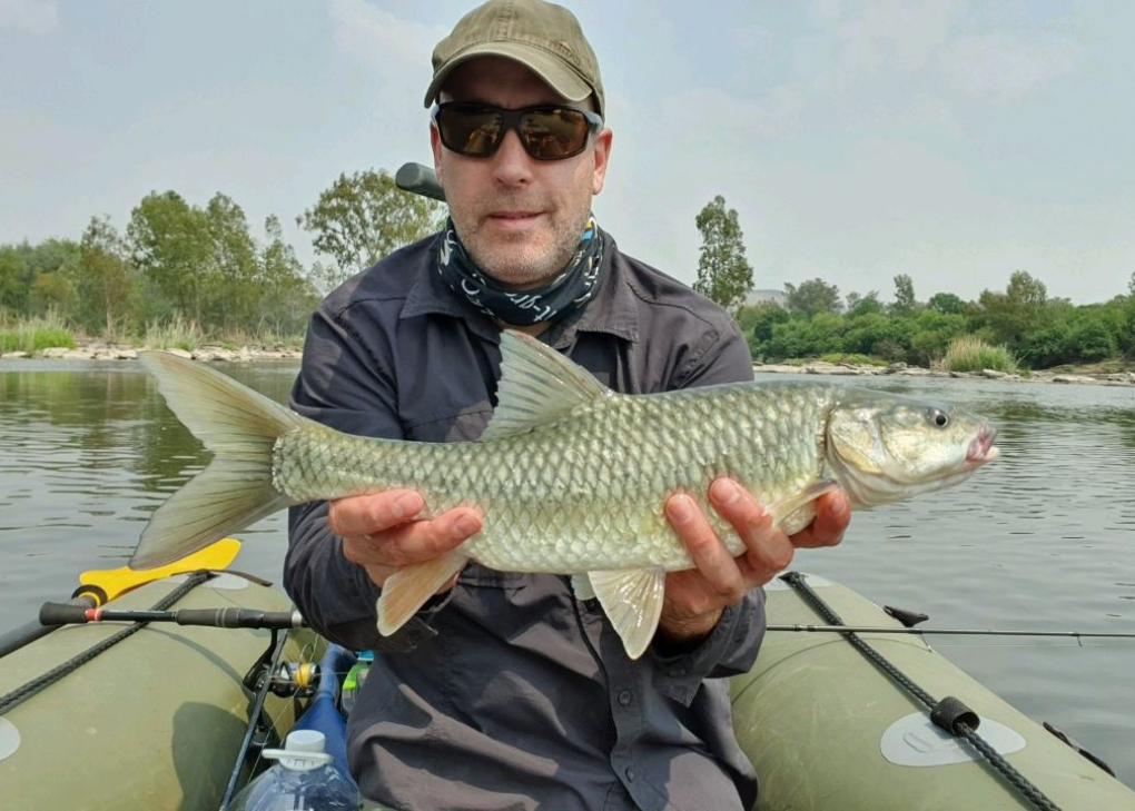 1666124555240 Largemouth yellowfish from the Vaal River