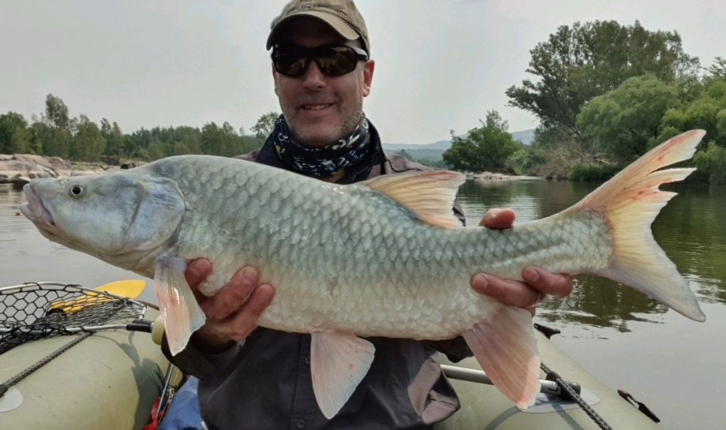 1666124716690 My 2nd biggest largie on lure to date