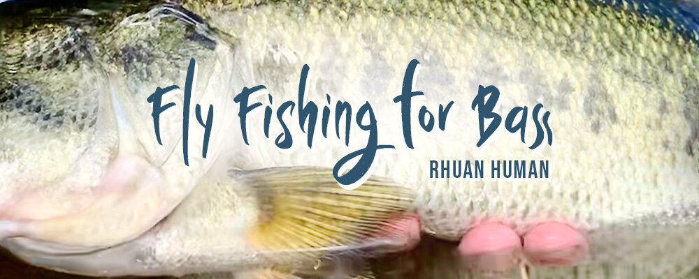 Fly Fishing for Bass