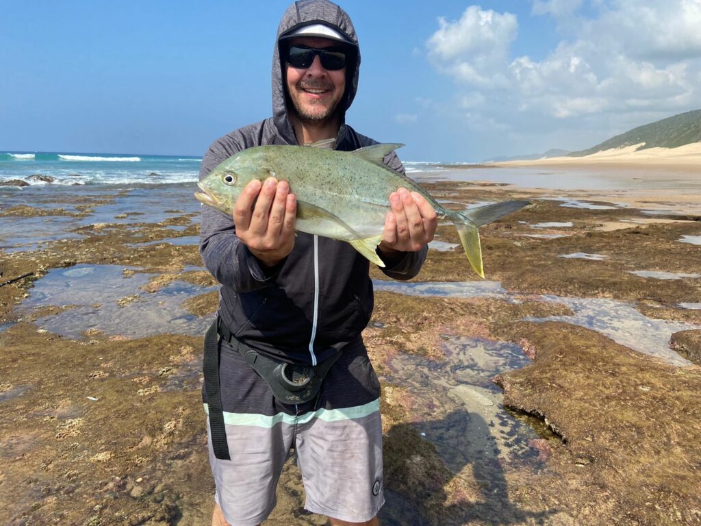 Brassy Kingfish Brassy Kingfish