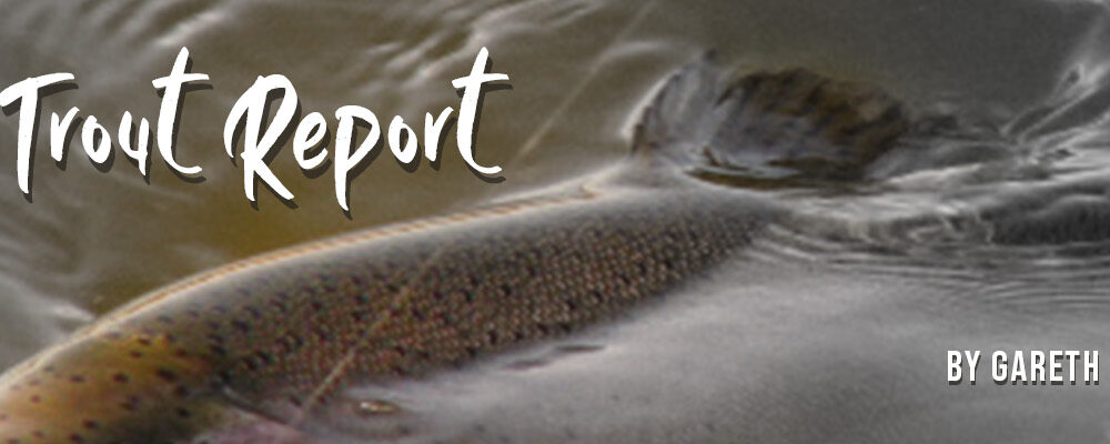 The Trout Report