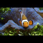 Profile picture of Stewart Taylor
