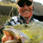 Profile picture of Jacques Schoeman