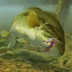 Profile picture of Jandre le Roux