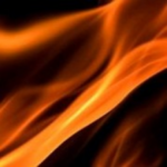 Profile picture of Scott Geer