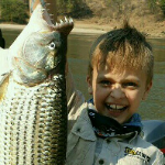 Profile picture of Liam Green